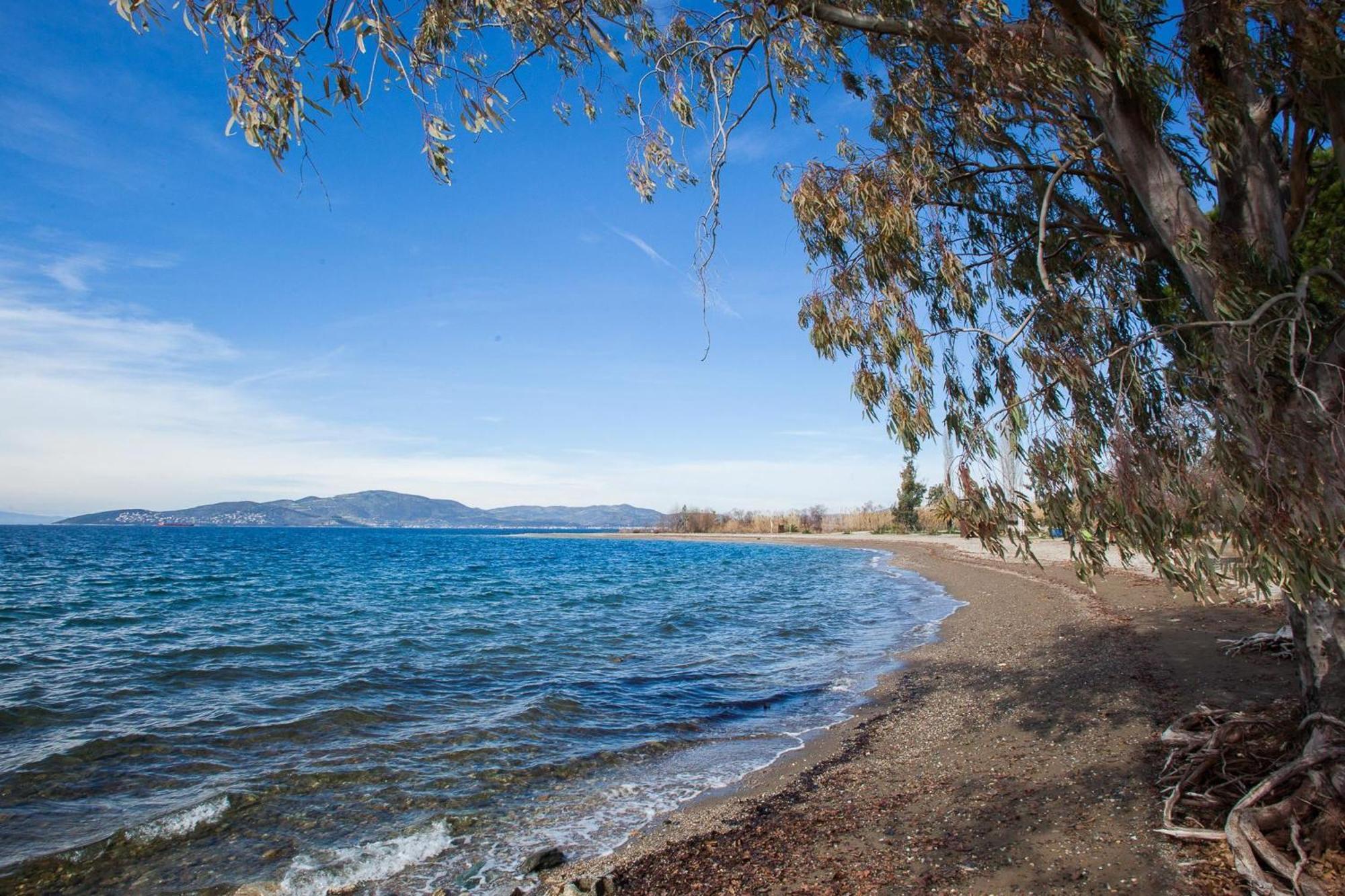 Вилла Karnagio Seafront In Agria Kato Lekhonia Экстерьер фото